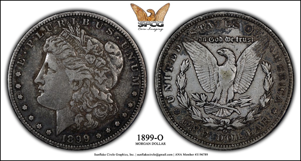 All-Members,-Post-Your-Most-Recent-US-Coin-Purchases!